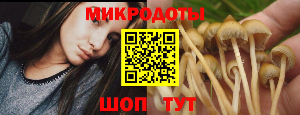 Псилоцибиновые грибы GOLDEN TEACHER Калининград
